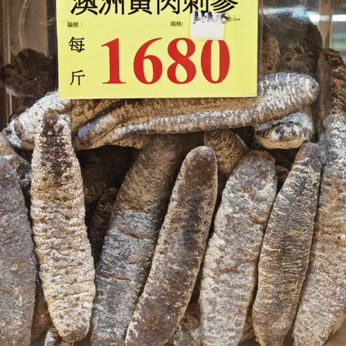 澳洲黃肉禿參3-4