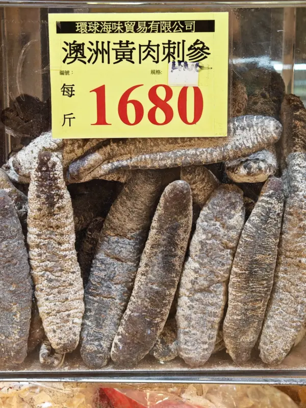 澳洲黃肉禿參3-4