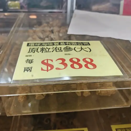 野山圓形泡參
