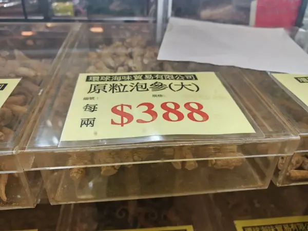 野山圓形泡參