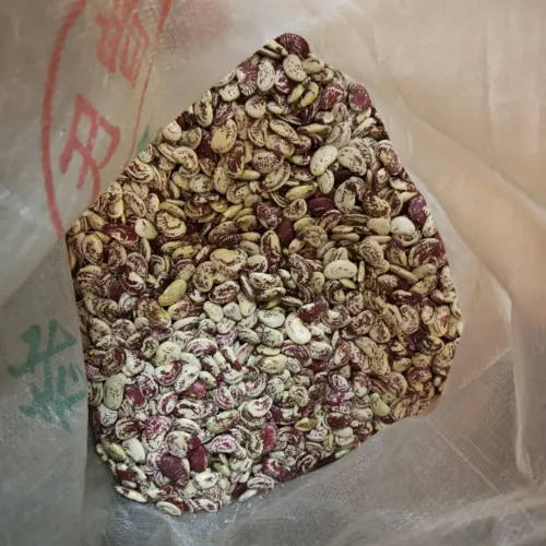 花豆1