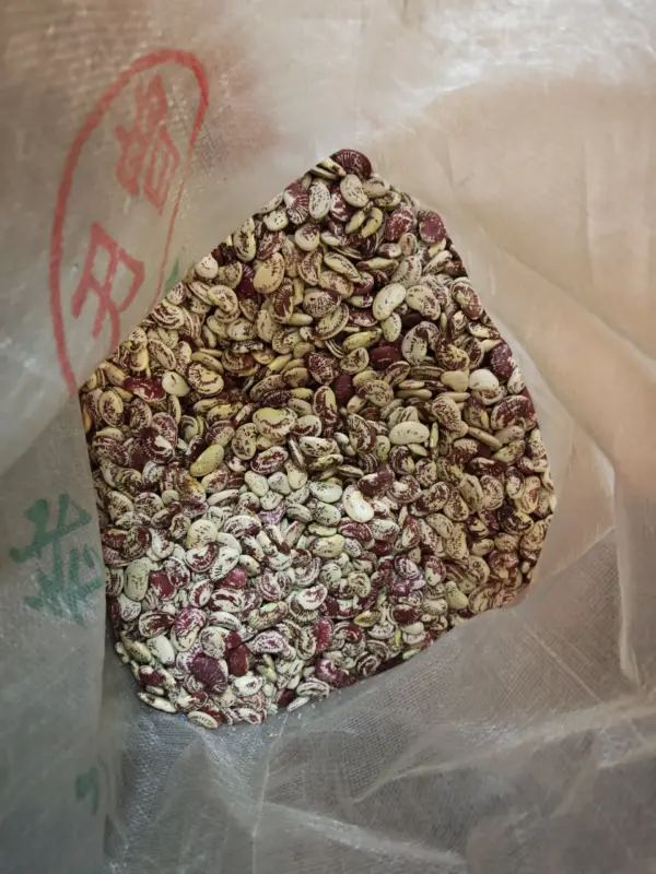 Speckled Beans 1