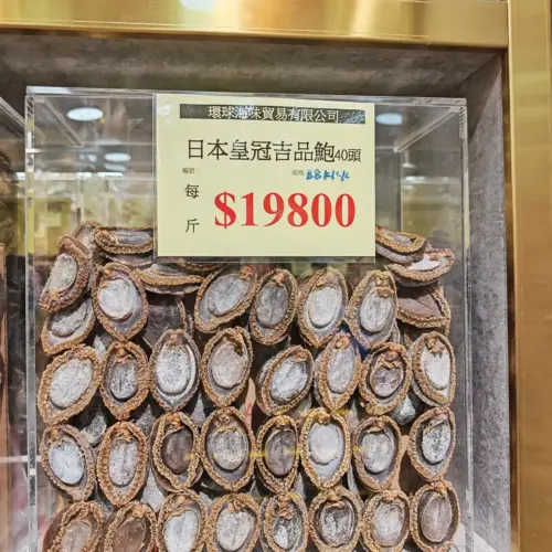 日本網鮑11頭