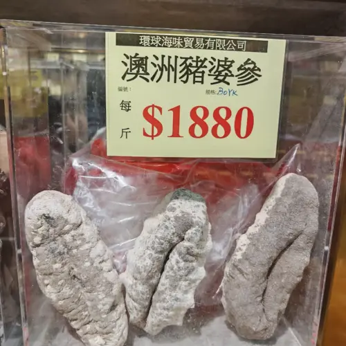 豬婆參4-5
