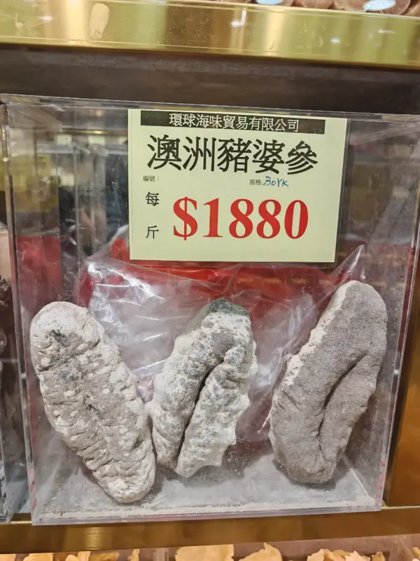 豬婆參4-5