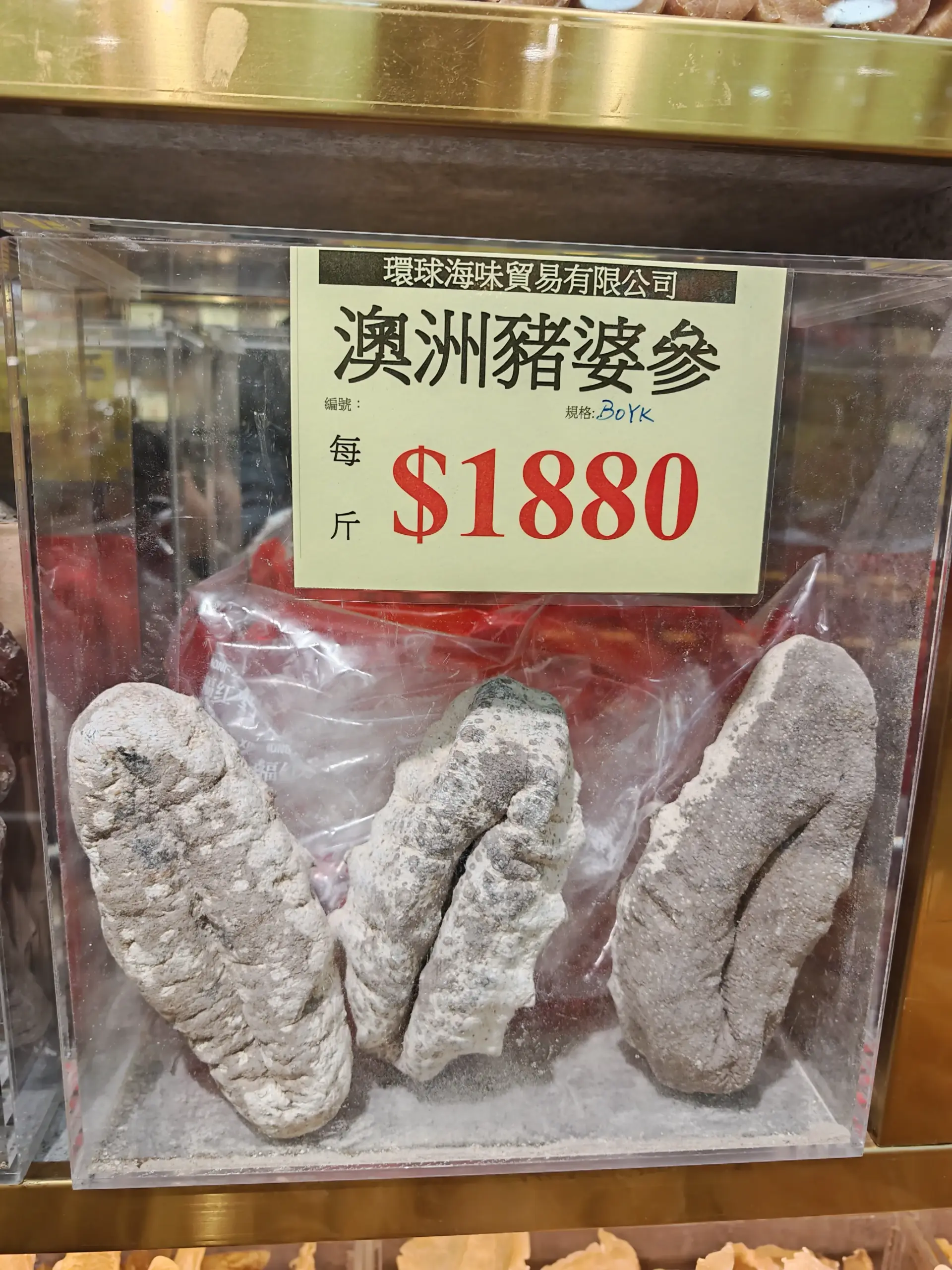 豬婆參4-5