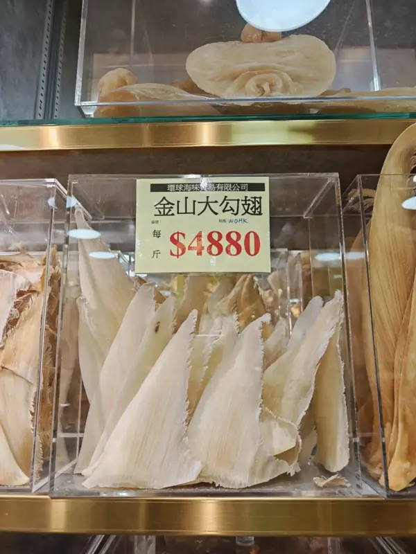 金山勾翅