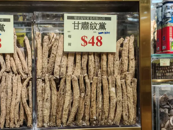 甘肅紋黨參