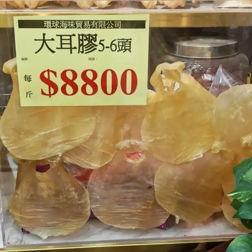 有耳甲巴膠3-4