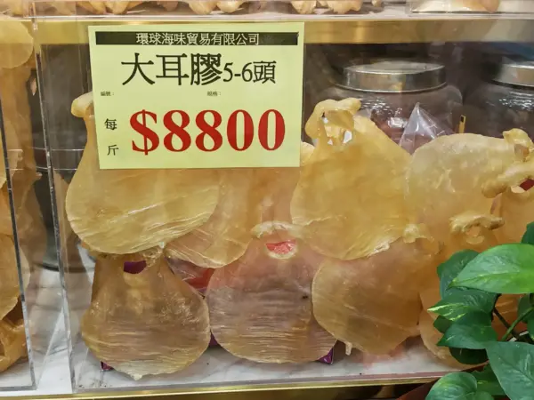 有耳甲巴膠3-4