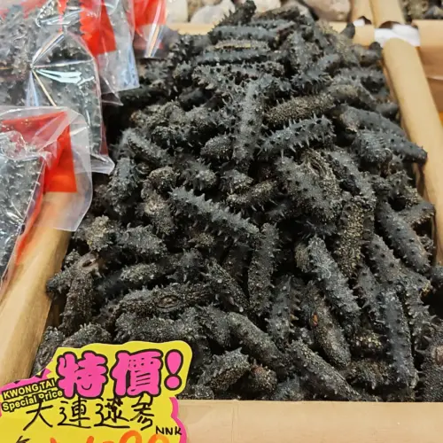 大連遼參30