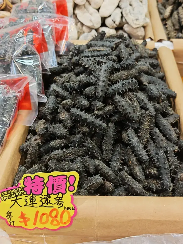 大连辽参30
