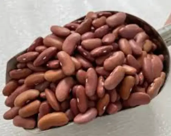 Red Kidney Beans