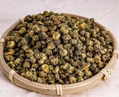 Baby Chrysanthemum 1