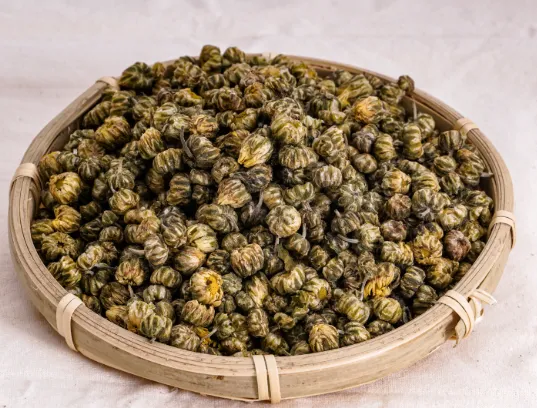Baby Chrysanthemum 1