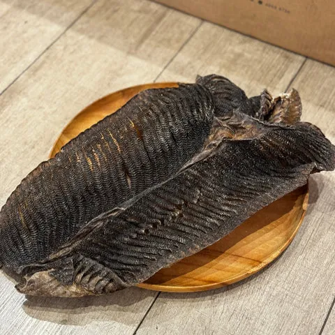 Extra Large Fish Gill