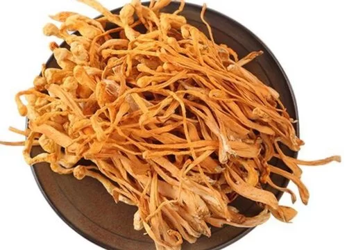 Cordyceps Flower