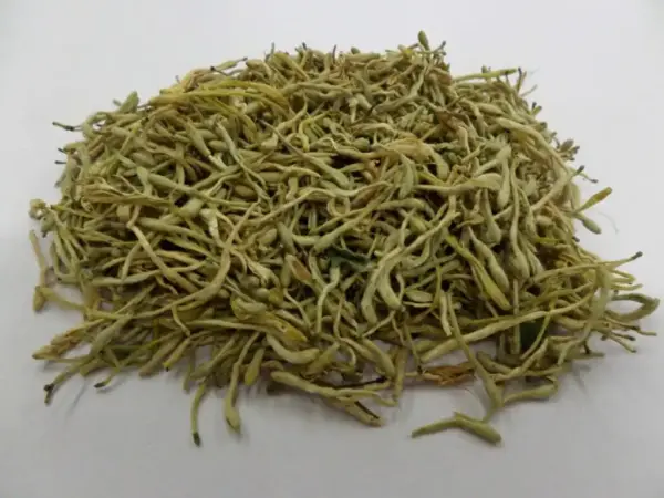 Honeysuckle