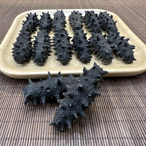 40頭大連海參