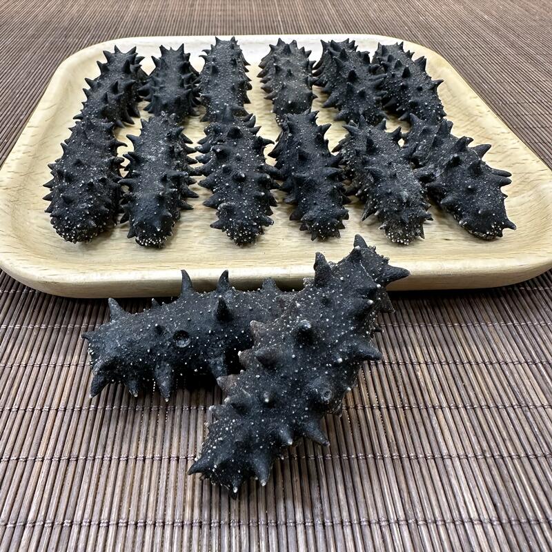 40頭大連海參
